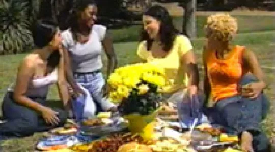 four woman at picnic